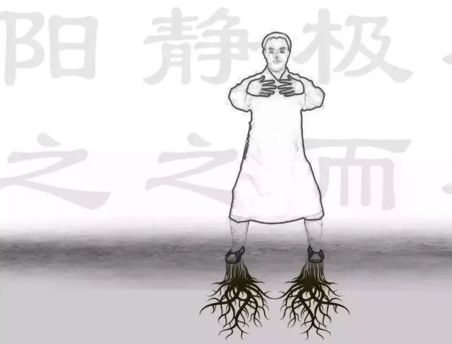 武学与健康,站桩那点事