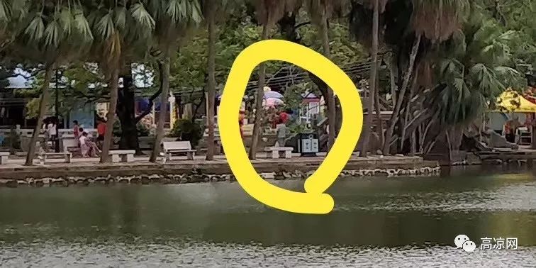 高州人注意了!网友发现有两位小偷经常在潘州公园出没