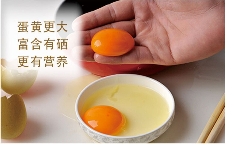 8c943d9f6803482797b0ca1ccd8e2529.png