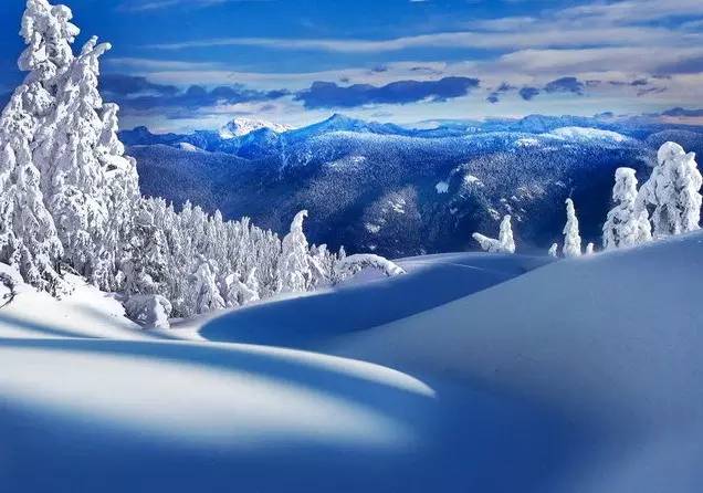 人生,没有下辈子,当不虚此生!