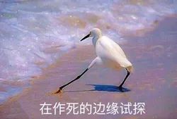 惊险!“疯狂面包车”在丽水高速上逆行,万万没想到...... 新金沙线上平台