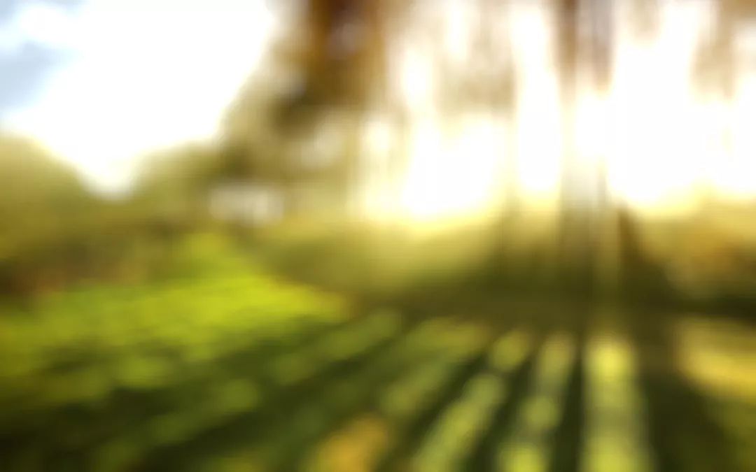 a7f0e76f9f0c4e32b87d8759486ae63f.jpeg