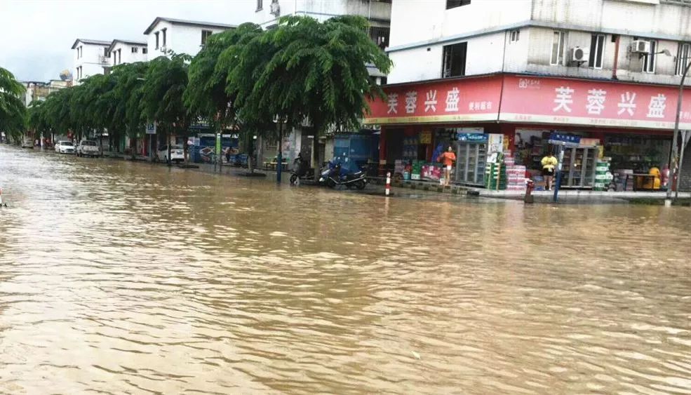 落雨大水又浸街三乡开启防御模式