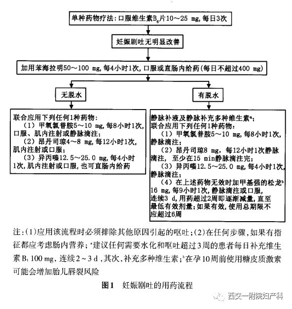 带你了解妊娠剧吐之五-终止妊娠的时机