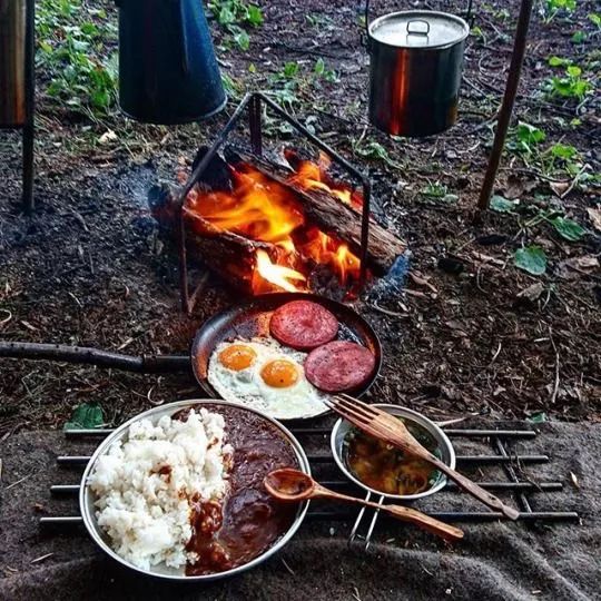 野餐