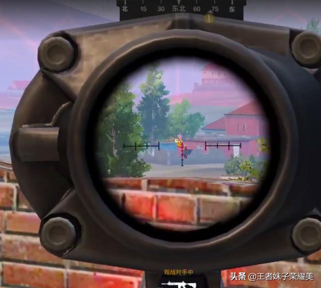 水灵灵的好女人是什么梗【手游科技辅助发卡网】