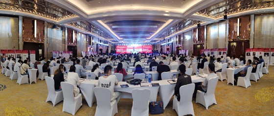 2019中国十大经济_2019,中国十大最具发展潜力城市排名