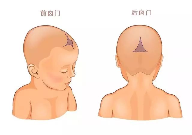 宝宝的囟门很重要!出现这3种情况时,家属要趁早带宝宝