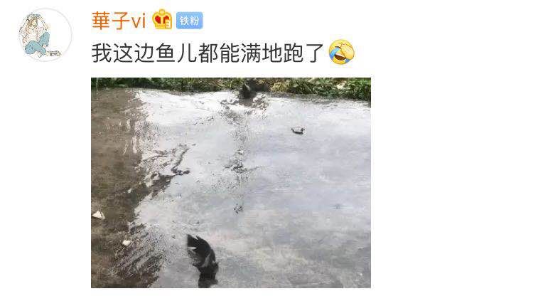 鱼儿都满地跑了