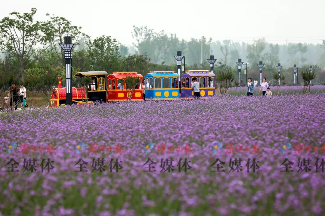 真没想到,淮北还有这么美的地方!赶紧去打卡