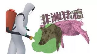 崇左的疫情严重吗崇左有疫情吗