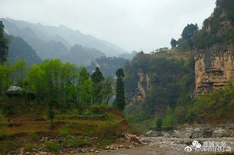 杨地镇人口_商洛市山阳县杨地镇(3)