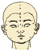                     缓解孩子发烧的5种小儿推拿手法，退烧降温有奇效，孩子少遭罪