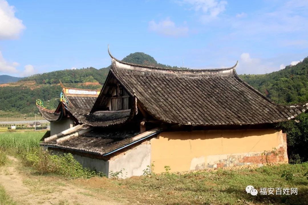 2019福建最美乡村入围村庄推介 福安洪口村_坂中