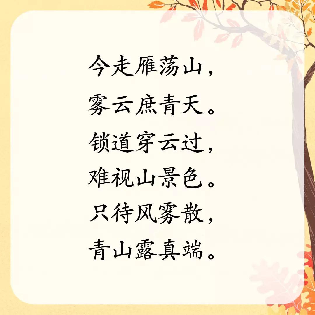 cd91fdf670204c628b25c5149efc02dd.JPG