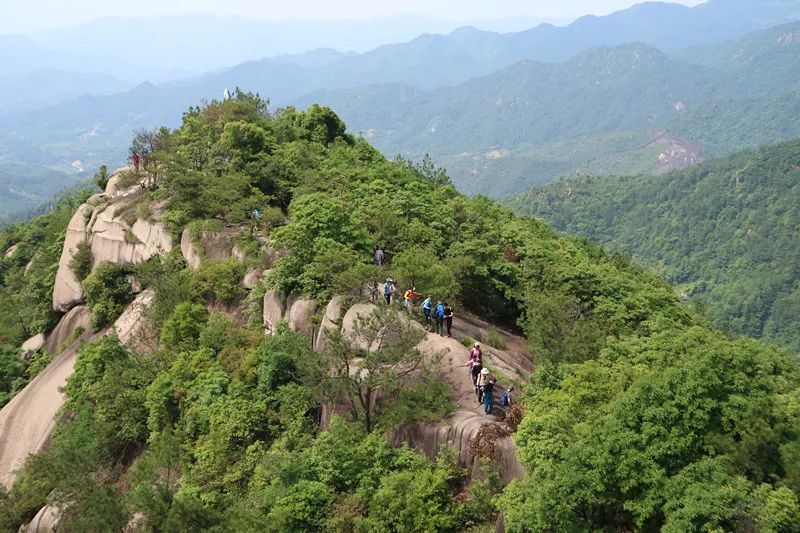 【风景线】每周一山,6月2日-徒步新昌小黄山 蓝莓采摘