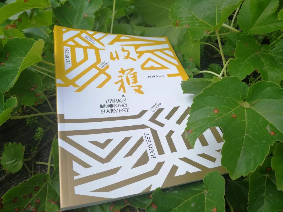 2019-3《收获》| 短篇:杨广义(双雪涛) 澳门皇冠盘口