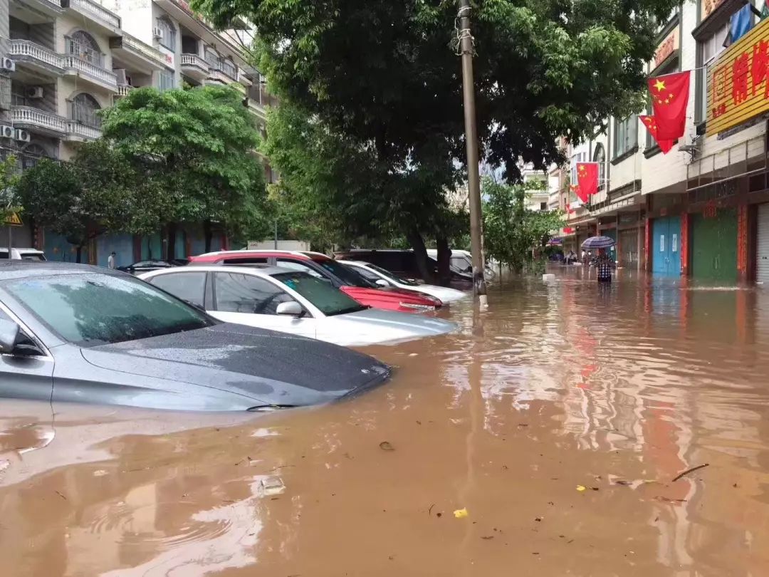 广西 西林人口_广西西林地图(3)