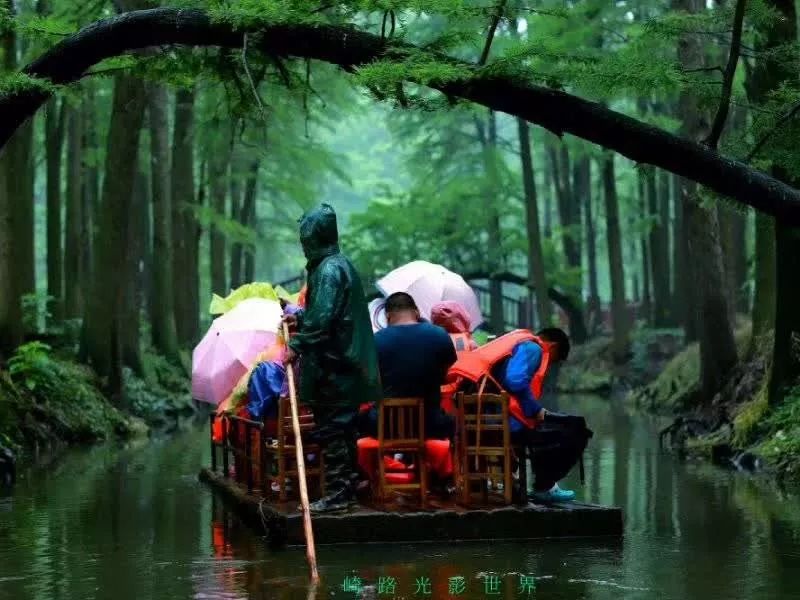 湿润的空气吸入背影都散发着迷人芬芳做一个丁香一样的姑娘雨丝风片