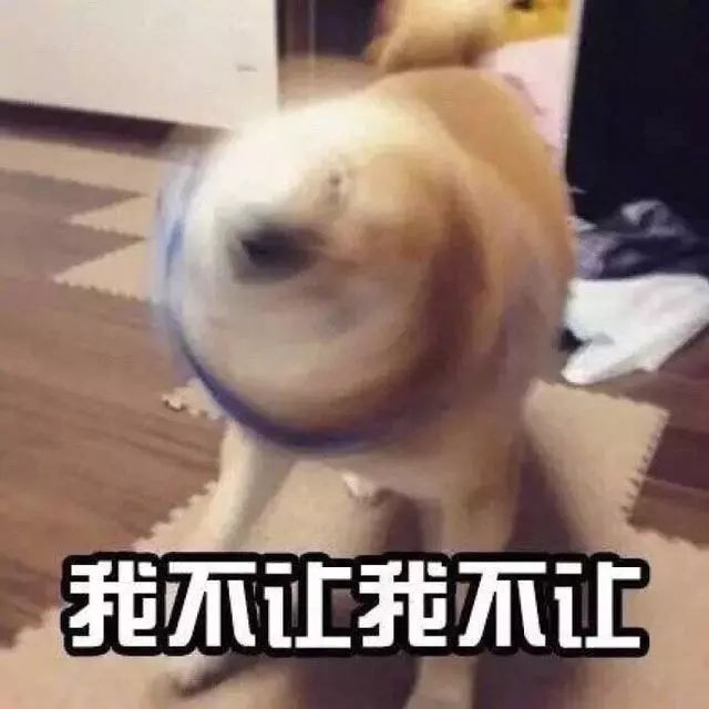 e70dde6c825e46d5891bf70d4de037a1.jpeg