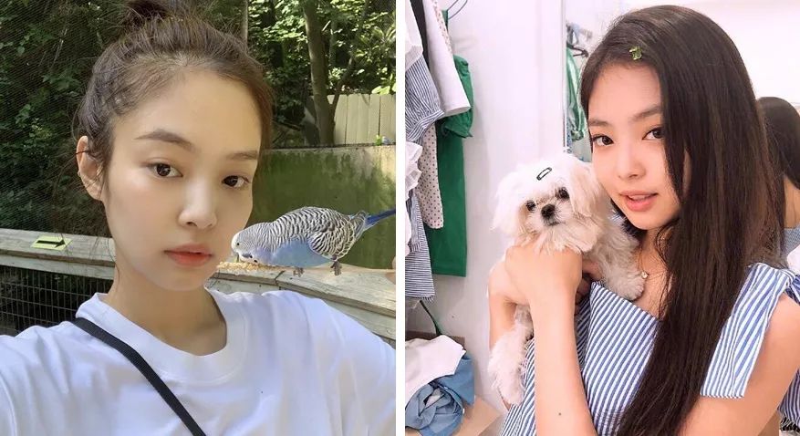 jennie的直角肩我真的酸了