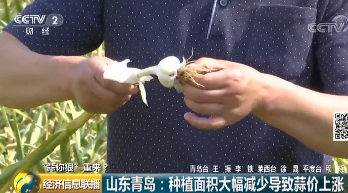 仁兆人口经济_人口经济分析图