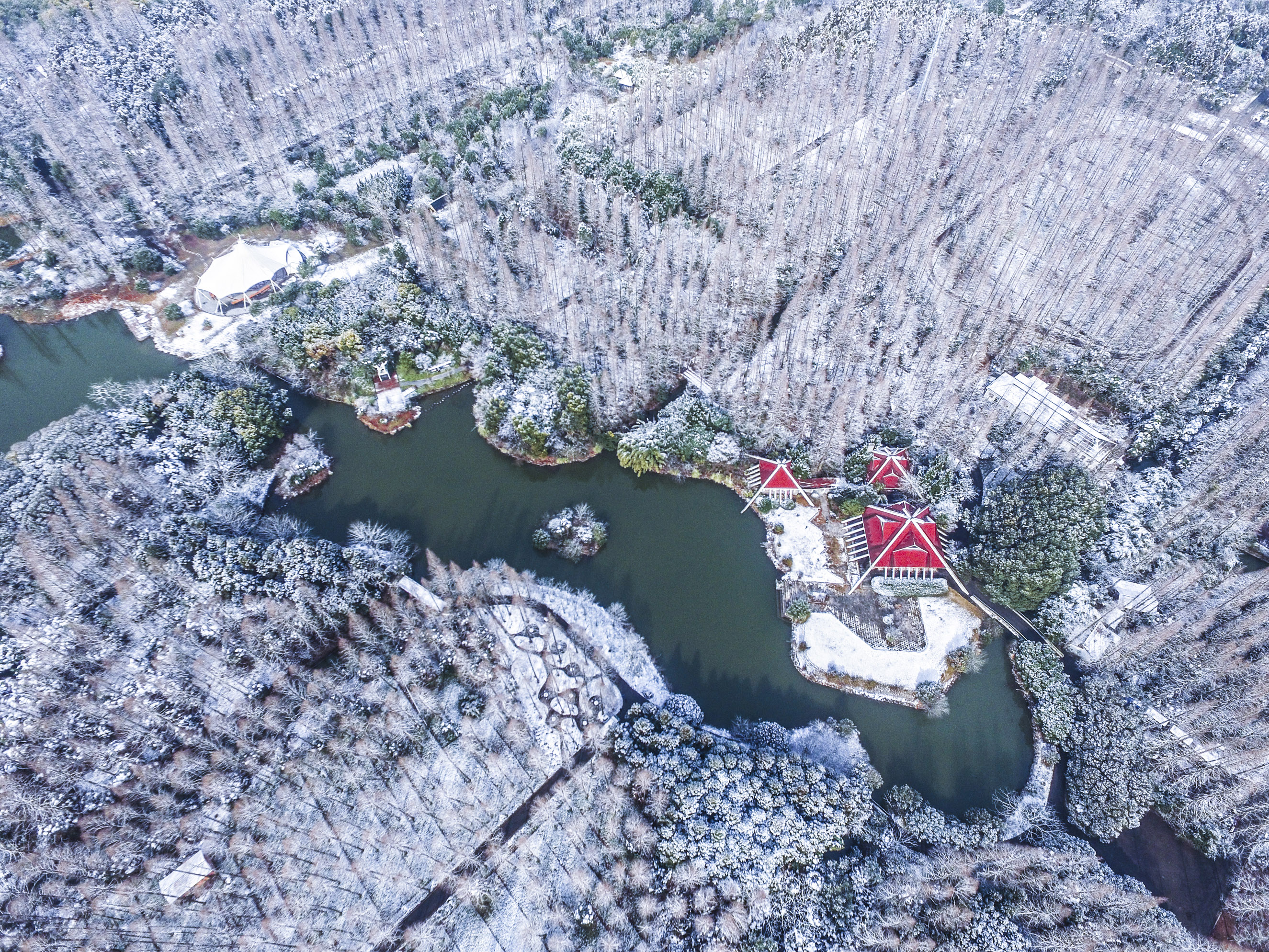 上海市崇明区东平国家森林公园冬日雪景(2016年2月1日无人机拍摄).