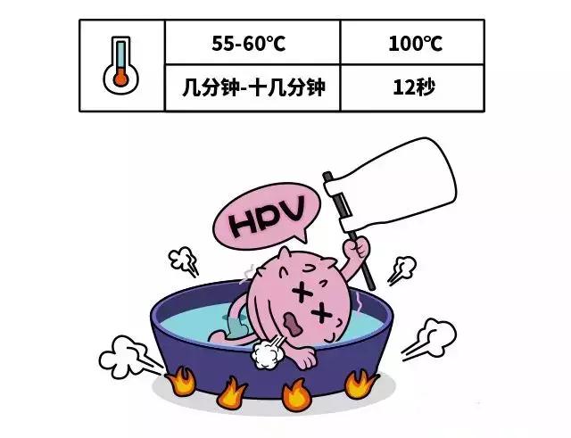 hpv全知道:什么hpv病毒?与宫颈癌是什么关系?如何预防感染?