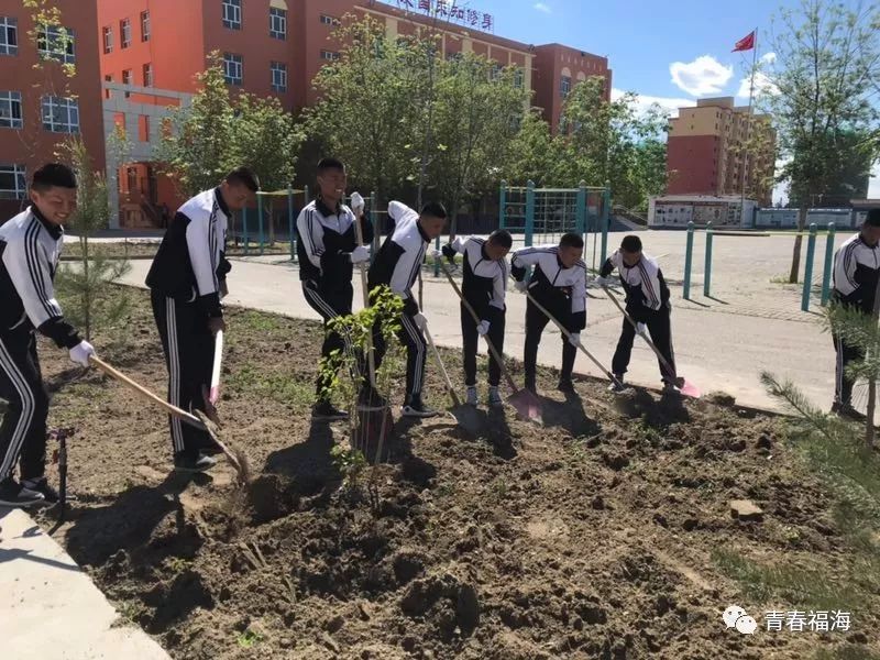 福海县第一高级中学团员队伍志愿者02植树美化校园志愿活动