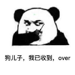 熊猫头斗图表情包我是熊猫我是熊猫收到请回答