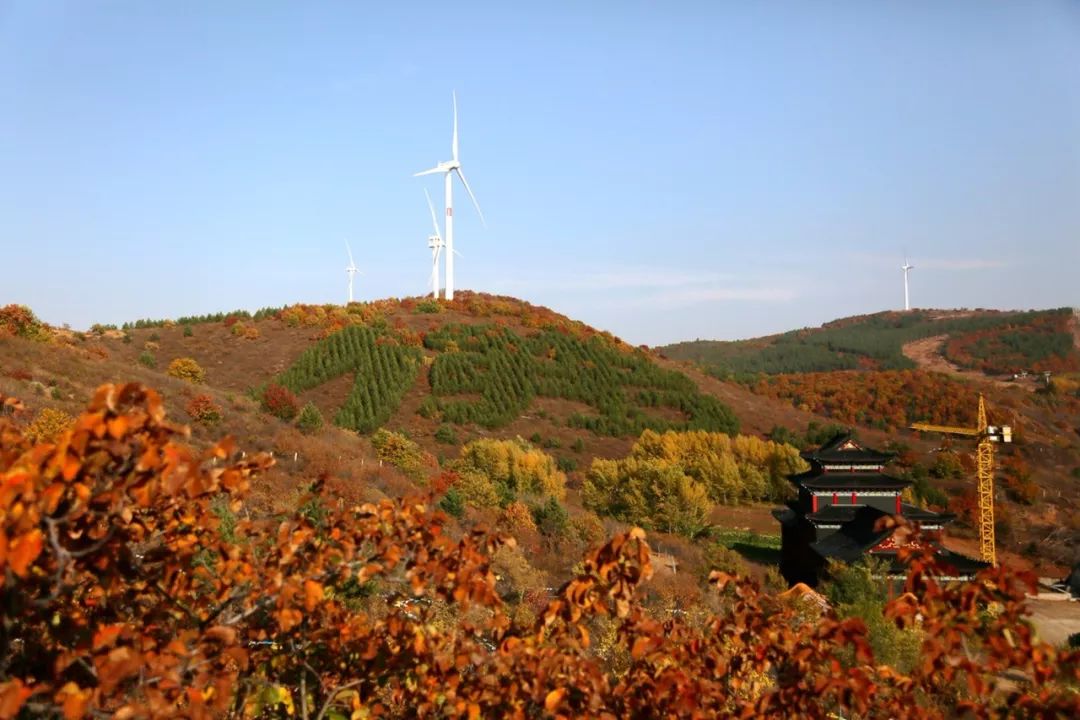 安排必须安排2019年碾子山重要的旅游文体活动都在这里