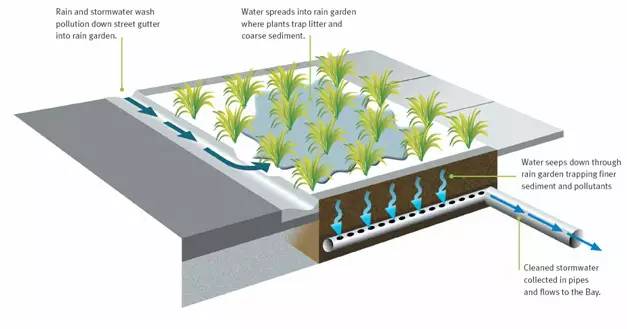 雨水年径流总量控制较经济的设施是()