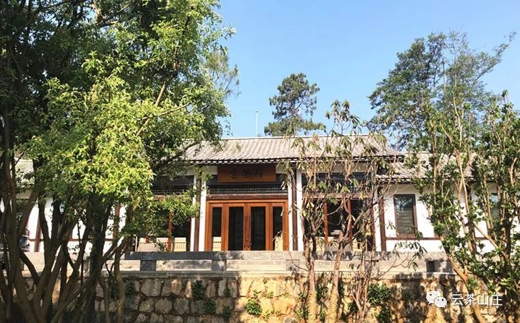 云茶山庄镶嵌在峨山的碧绿大氧吧