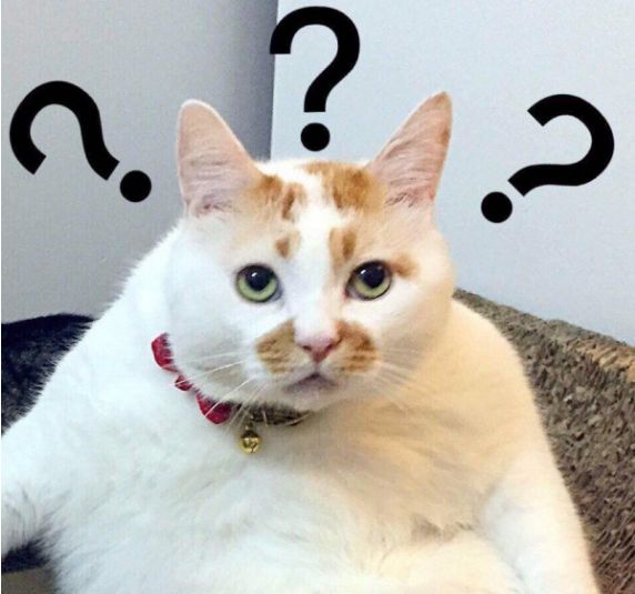 客户让我给你带个话,“别用宋体” 澳门凯旋门在线