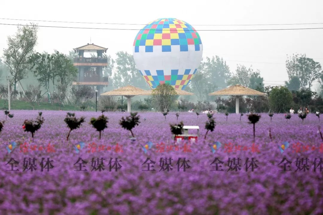 真没想到,淮北还有这么美的地方!赶紧去打卡