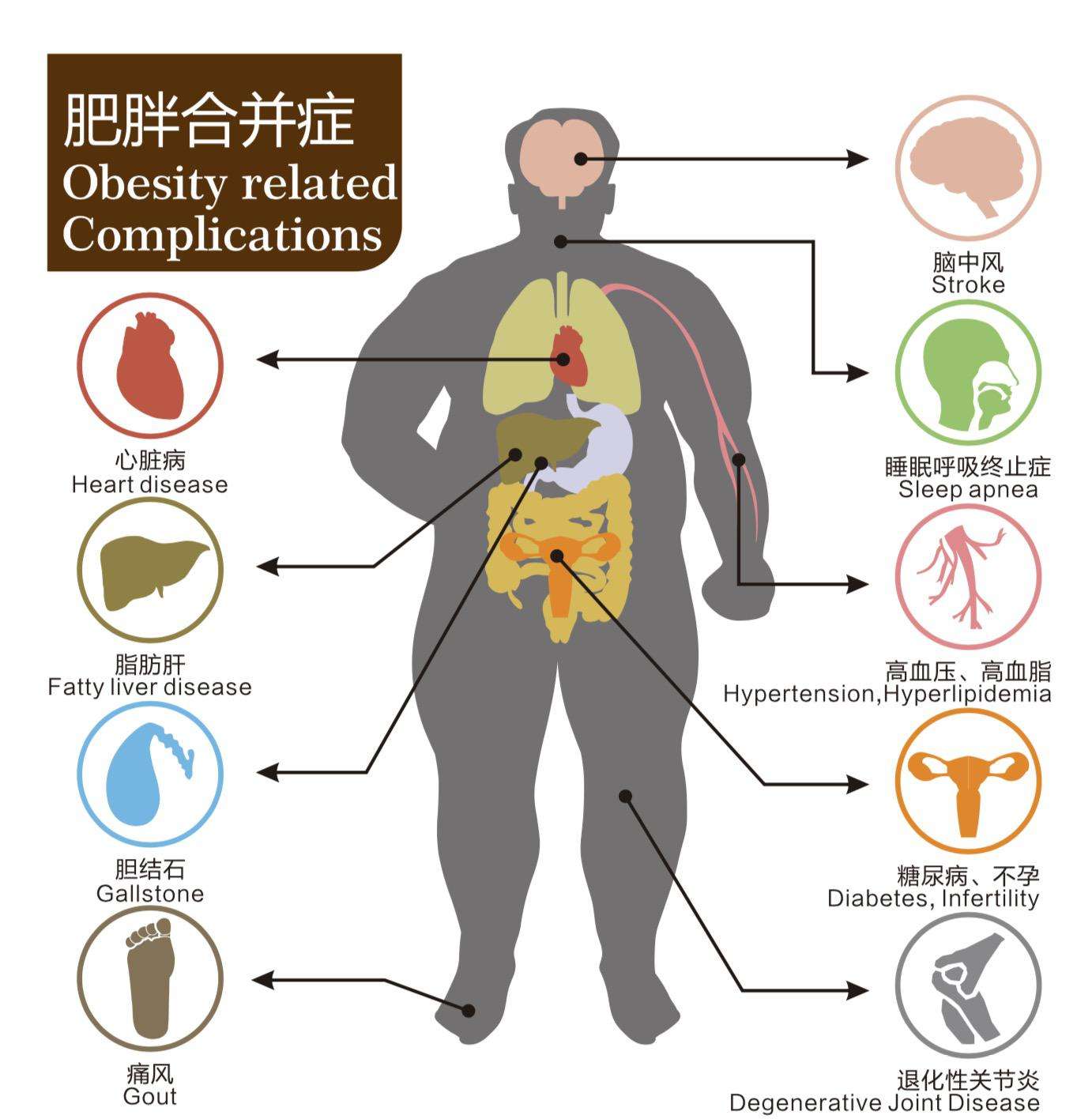 2019年中国成年人中肥胖占总人口_成年人的崩溃(3)