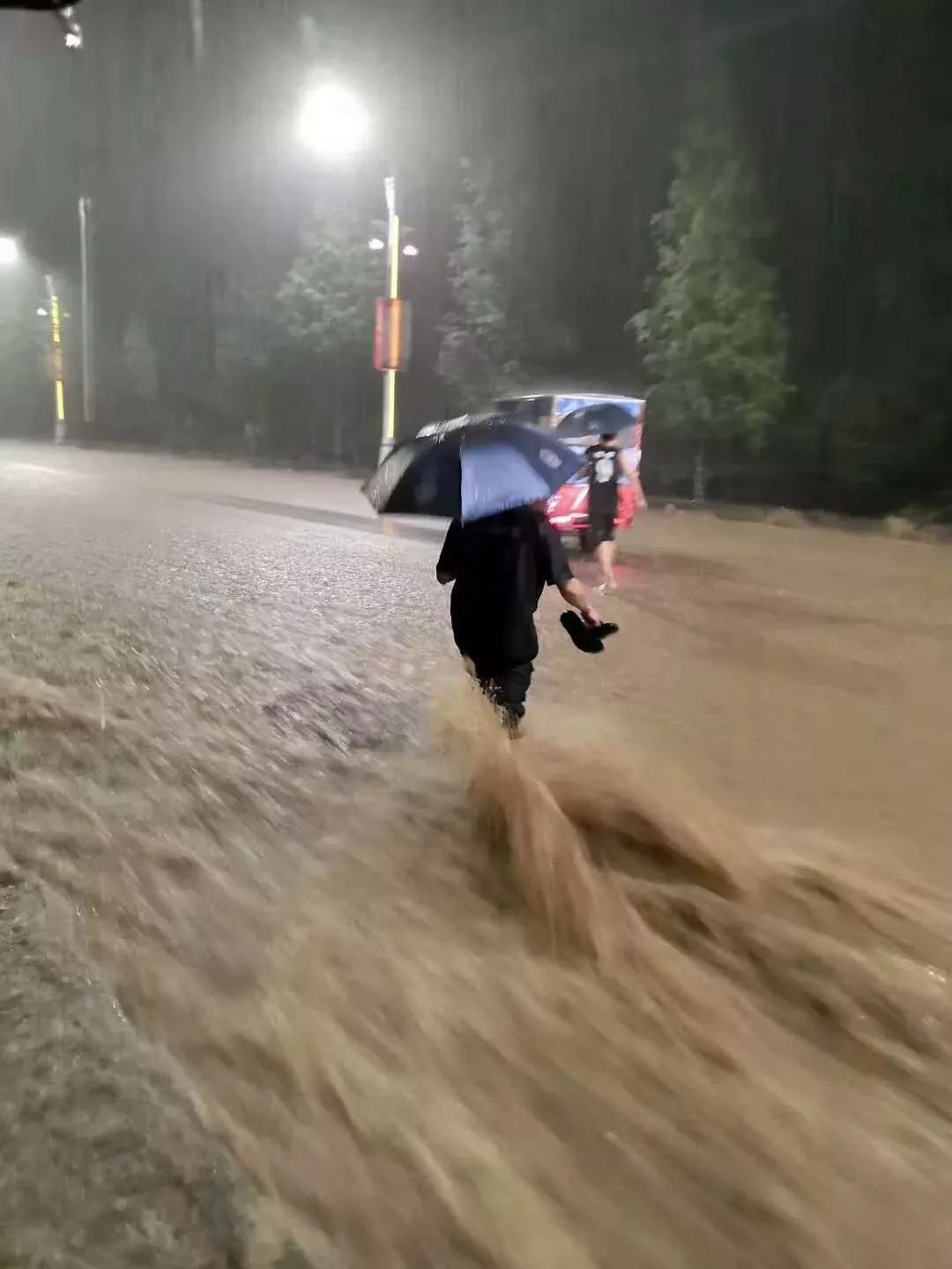 怎么应对暴雨洪灾 fe231413d3854d208c4c41e3360b5579.jpeg