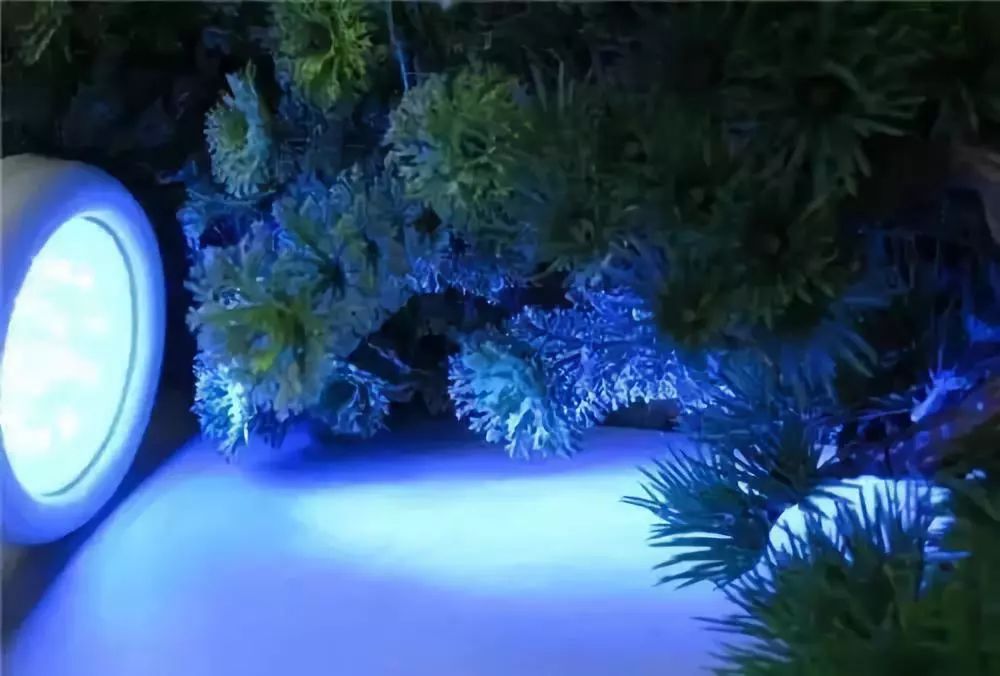                     2个孩子瞬间被夺走性命！只因碰到了这个？这么危险的东西厦门几乎每个小区都有...
