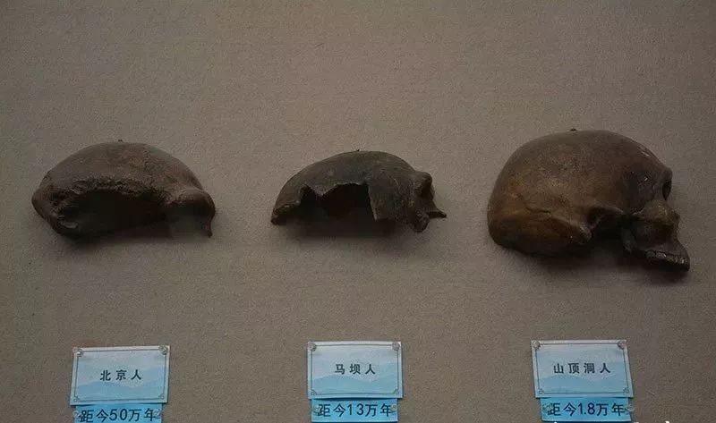 马坝人,河套人,山顶洞人…著名的有元谋人,蓝田人,北京人,年代排序
