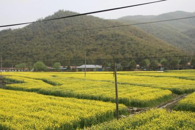 富阳区渌渚镇岘口村总人口_富阳区大源镇