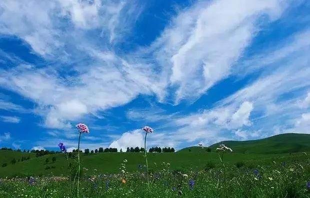 美好的清晨简谱_美好的清晨钢琴曲简谱(3)