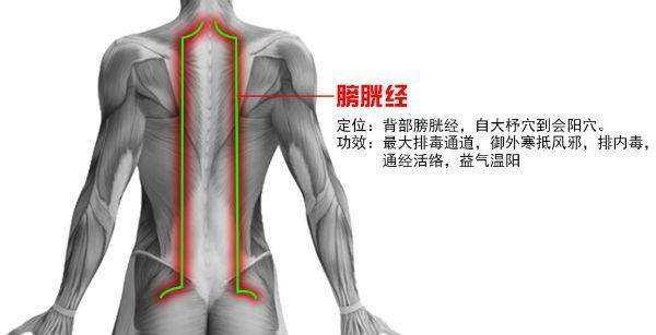 9,膀胱经膀胱经是人体的垃圾站,所以对于膀胱经,我们用泄的手法来泄除