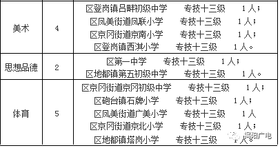 揭阳空港人口_揭阳空港花海图片(3)