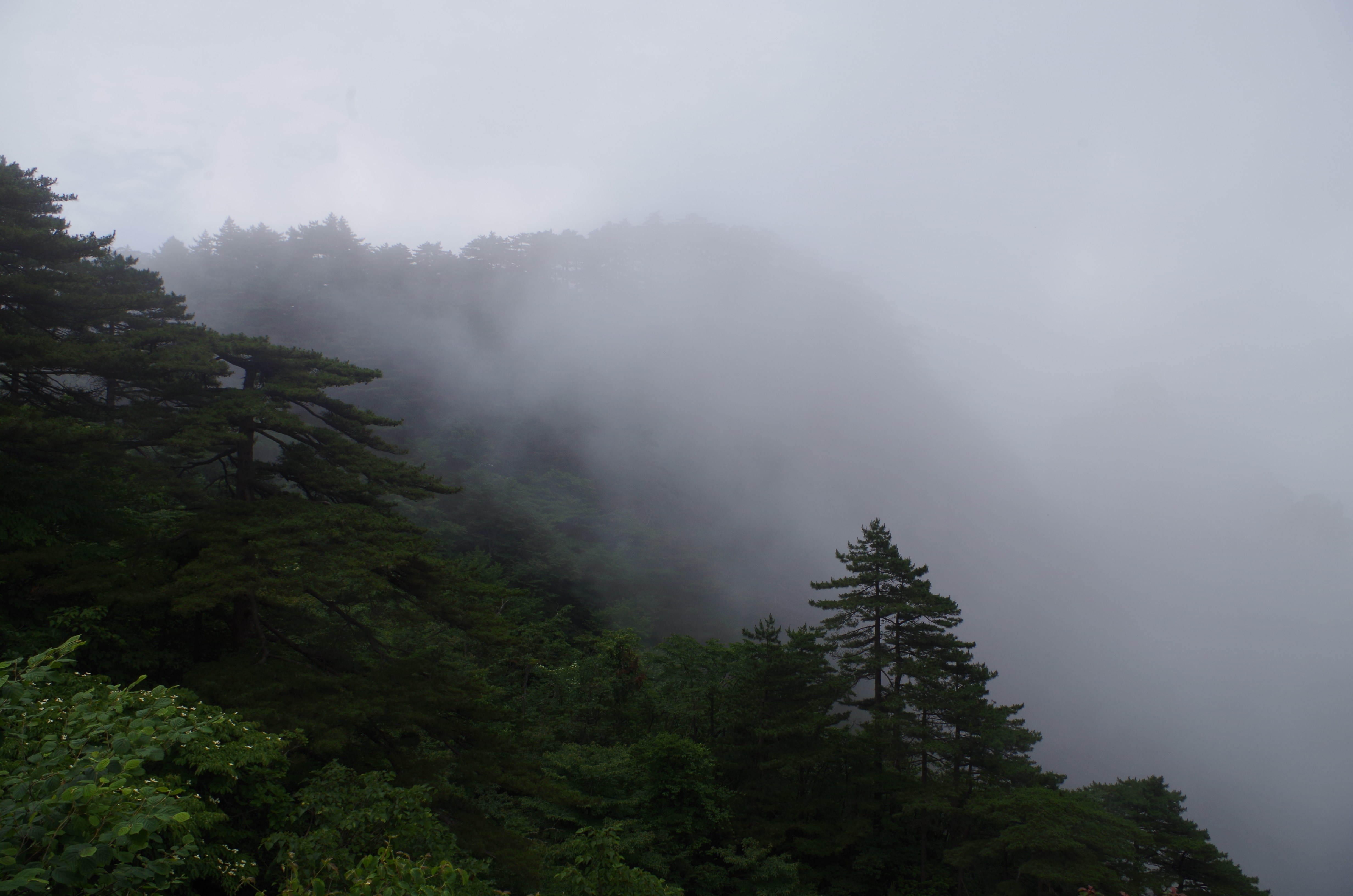 幸运如我黄山四景全部拍到不要遗忘云雾之乡黄山最美的云海