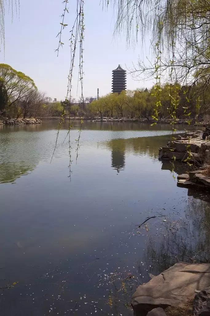 北大未名湖野鸭湖国家湿地公园翠湖国家城市湿地公园故 宫北京植物园