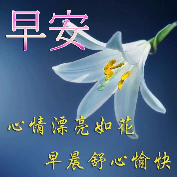 早上好图片最美温馨带祝福句子 早上好问候语全集