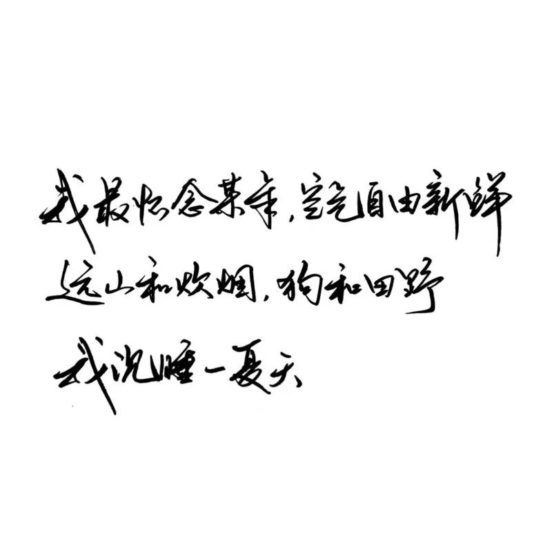 自由的飞翔是个地字吗 397e8294ba6e4985a03179c05a39aa51.jpeg