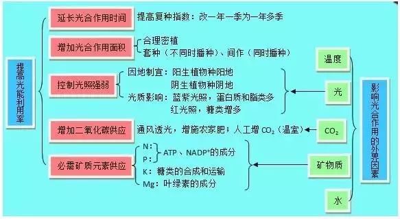 2019昆十中云天化高三5月联考各科试题及答案汇总 附知识点
                
                