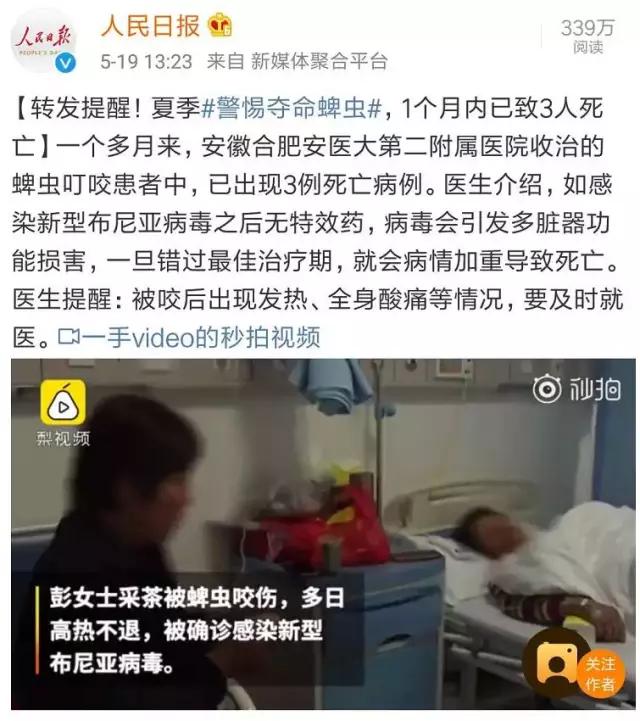                     1个月内已致3人死亡！宝宝被这种虫叮咬后，千万别用手拍！