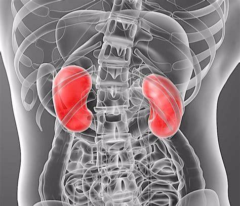 怎么护肝最好最有效 49aa8ca0143840faba71e239fe2fa0ab.jpeg